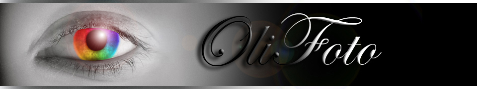 Olifoto
